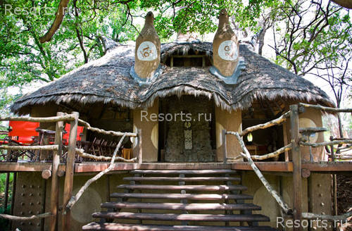 Makalali Private Game Lodge 